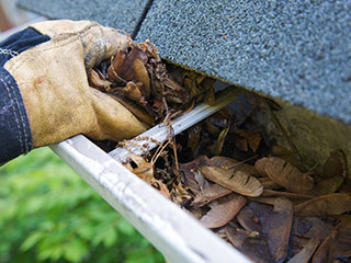 Gutter Cleaning Havelock, NC