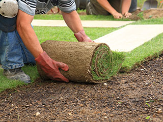 Sod Installation Havelock, NC